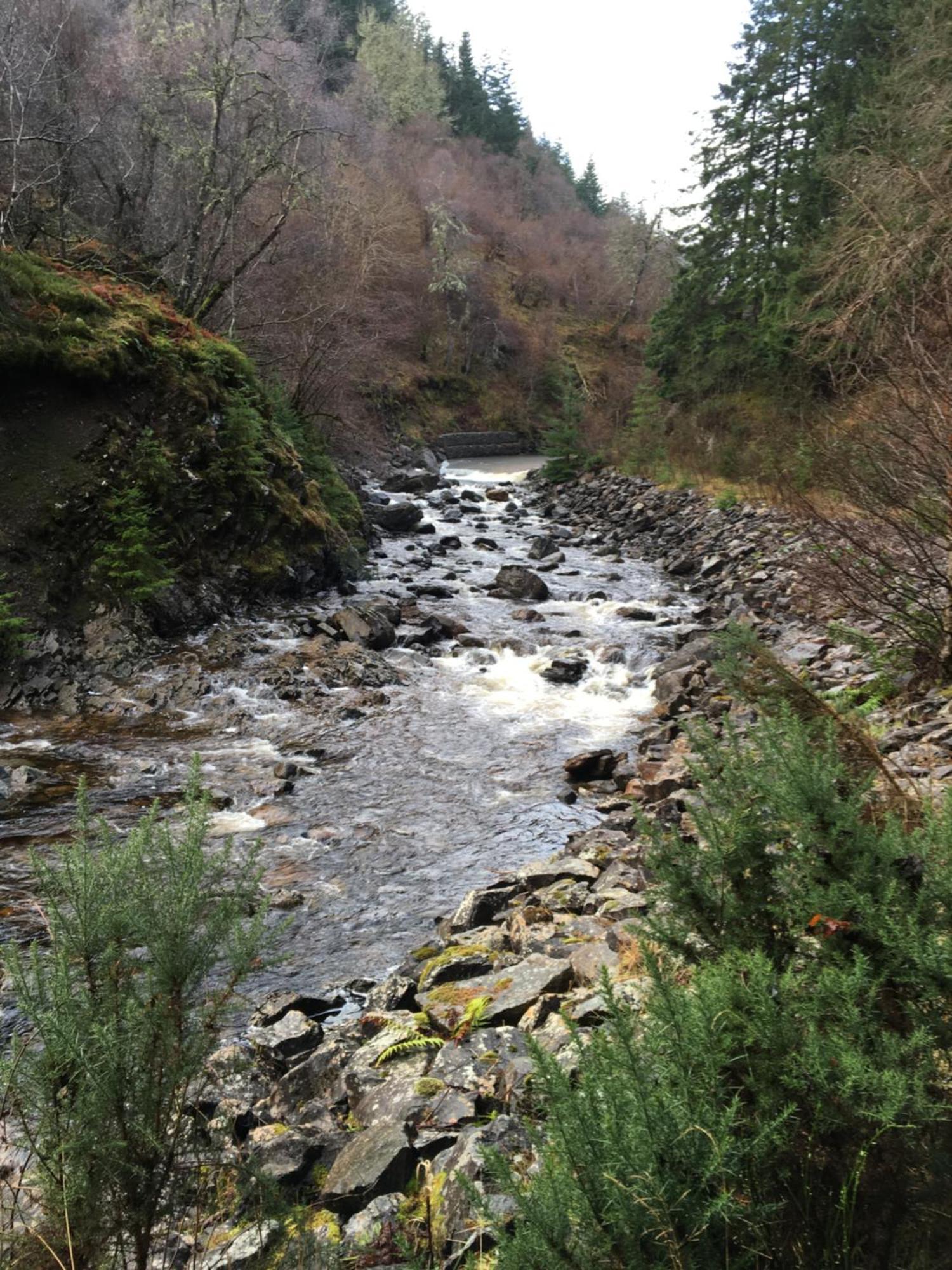Treetops Bungalow Loch Ness Drumnadrochit Exterior foto